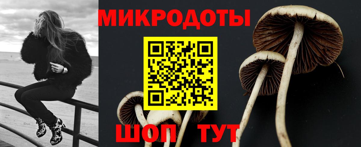 Галлюциногенные грибы прущие грибы  Галлюциногенные грибы GOLDEN TEACHER  Вход с VPN  Балашов 